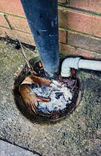 https://plumberforrestdale.com.au/uploads/2025/06/blocked-drains-294506.jpg